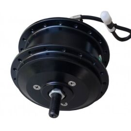 20 Zoll 36V Q100H, 350W, 260 RPM, 100mm Einbaubreite, Felgen &amp;Scheibenbrems, Hallsensor
